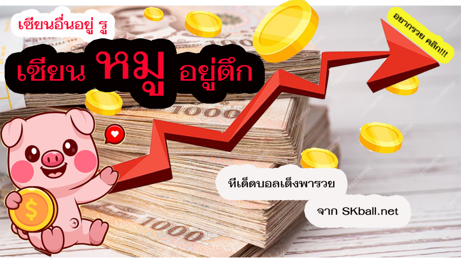 ทีเด็ดเซียนหมู